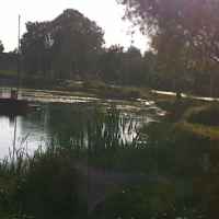 Firlej  