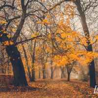 Park Miejski w Lubartowie