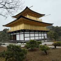 JAPONIA