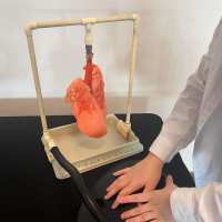 zdjęcie anatomia na żywo