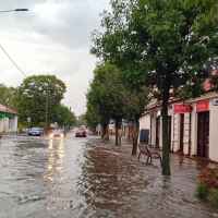 Lubartów wraca do zieleni? Ruszają konsultacje planu adaptacji do zmian klimatu