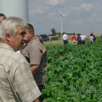 zdjęcie Wyjazd na farmę wiatrową do Dobrzynia nad Wisłą