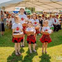 zdjęcie ŚWIĘTO PLONÓW GMINY LUBARTÓW
