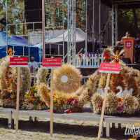 Lubartów › Galeria › Święto Plonów w gminie Kamionka