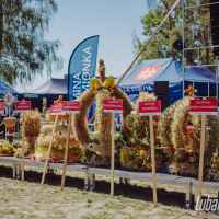 Lubartów › Galeria › Święto Plonów w gminie Kamionka