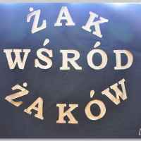 Zak wśród Żaków