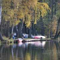 Firlej