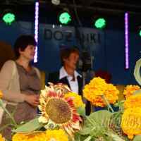 zdjęcie Dożynki w Kamionce 2011