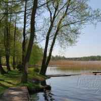 FIRLEJ