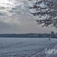 Firlej