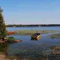 firlej 2012