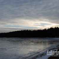  Firlej
