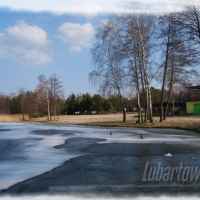 Firlej wiosna