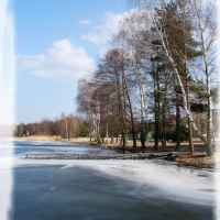Firlej wiosna