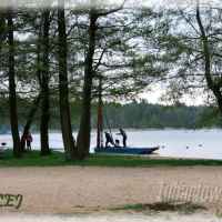 Firlej