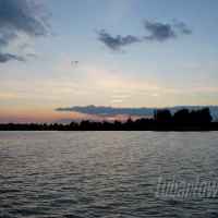 Firlej