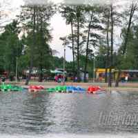 Firlej