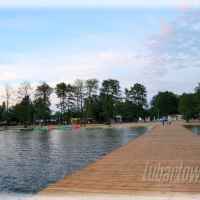Firlej