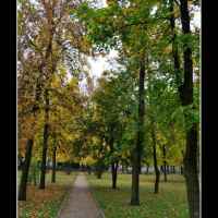 Park