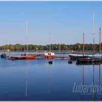 Firlej