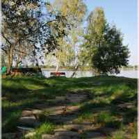 Firlej