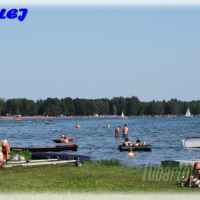 Firlej