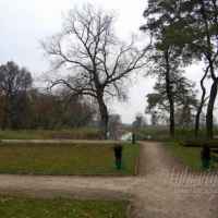 jesień