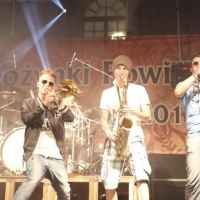 Koncert zespołu Enej