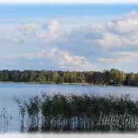 Firlej