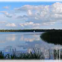 Firlej