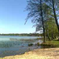 Firlej