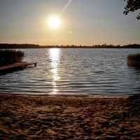 Firlej