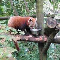 zdjęcie ZOO