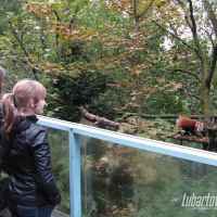 ZOO
