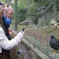 zdjęcie ZOO