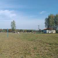 zdjęcie Święto Ziemniaka