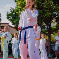 ekoPiknik Lubartowski