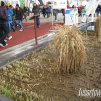 Gimnazjum w Niedźwiadzie na EXPO 2015