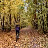 zdjęcie Gravelowisko Coffee Ride, Lasy Kozłowieckie, 18.10.2026