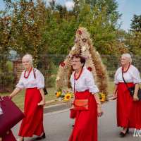 Korowód dożynkowy w Niedźwiadzie
