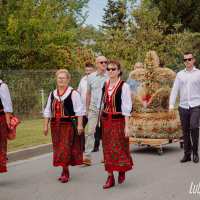 zdjęcie Korowód dożynkowy w Niedźwiadzie