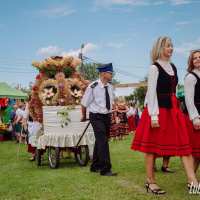 zdjęcie Korowód dożynkowy w Niedźwiadzie