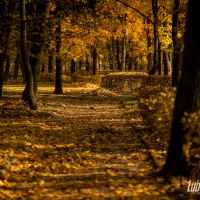 Jesień w Lubartowie