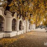 Jesień w Lubartowie