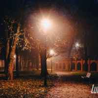 Park skąpany w listopadowej mgle