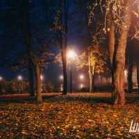 Park skąpany w listopadowej mgle