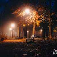 Park skąpany w listopadowej mgle