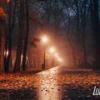 Park skąpany w listopadowej mgle