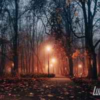 Park skąpany w listopadowej mgle