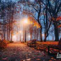 Park skąpany w listopadowej mgle